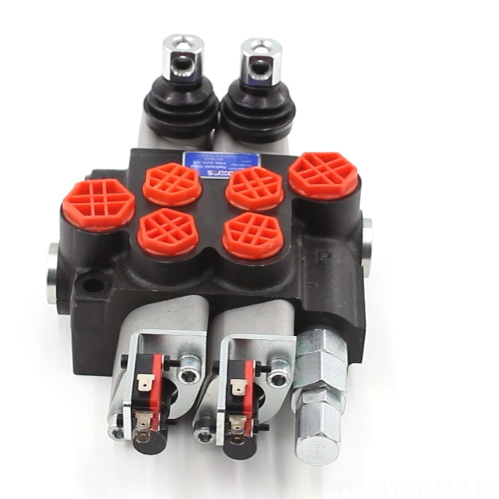 2 Spool Monoblock Directional Valve - P40: Factory Supply & Tailored Solutions image